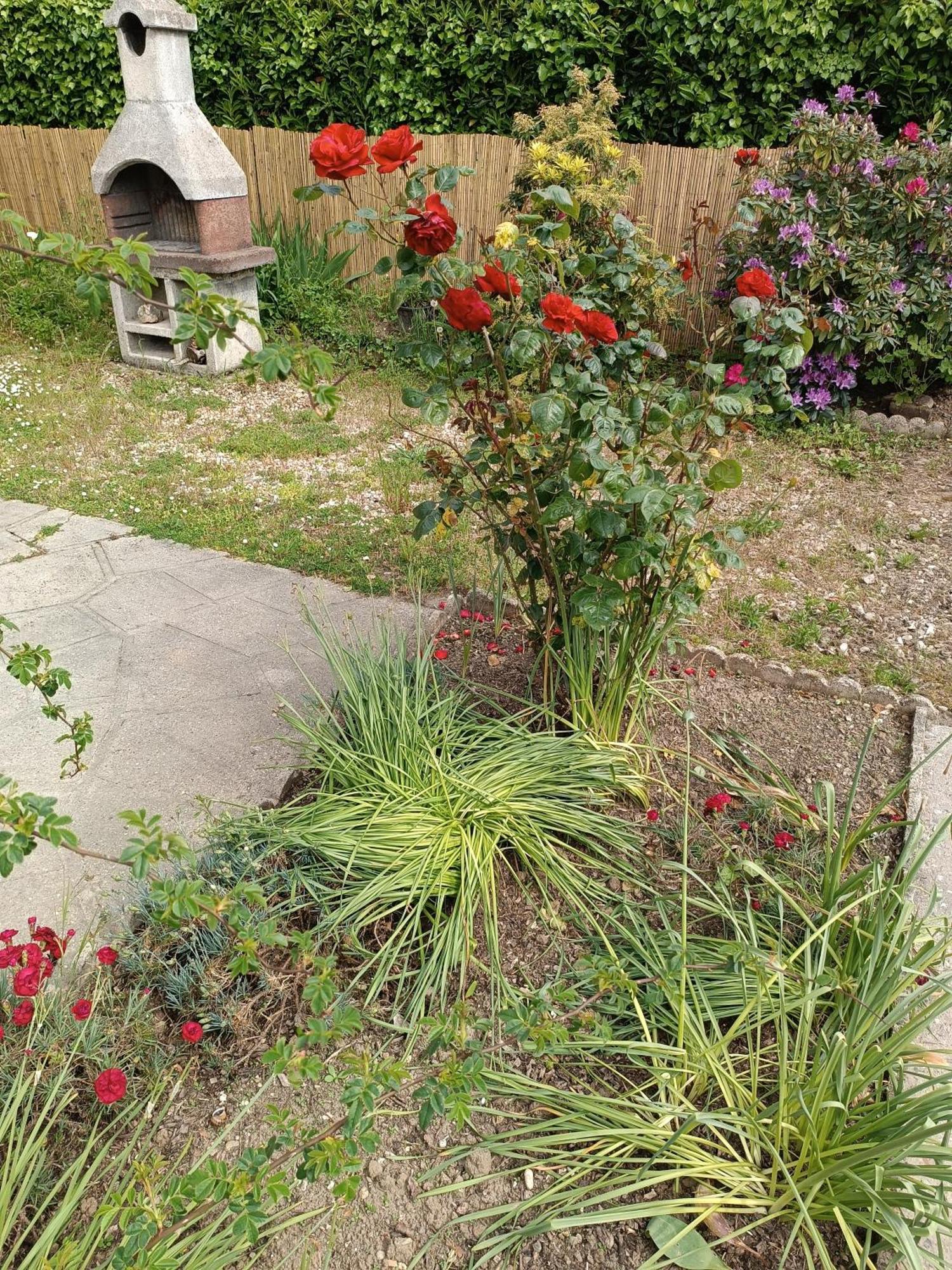 אטרטאט "Escapade Nature" 1 Place De Parking Et Jardin Paysager By Art De Voyager מראה חיצוני תמונה